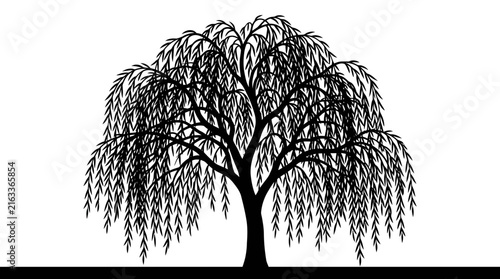 Weeping willow tree vector graphic illustration featuring black branches isolated against a clean white background design
