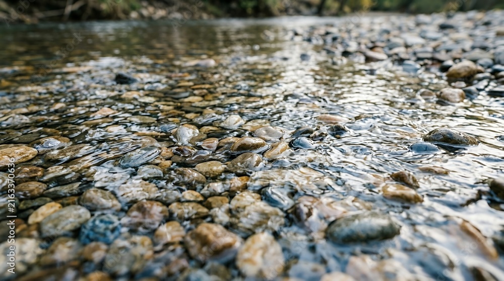 Fototapeta premium Crystal Clear River Water Flowing Over Smooth Round Stones and Pebbles in Scenic Outdoor Nature Stream Landscape