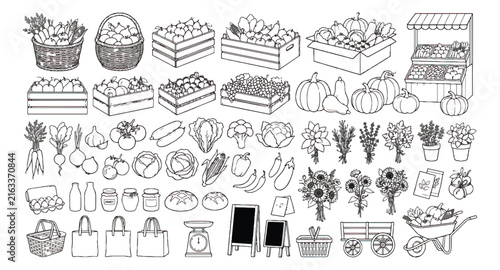 Hand drawn farmers market vector icons, organic vegetable and fruit harvest set, rustic grocery store line art illustrations