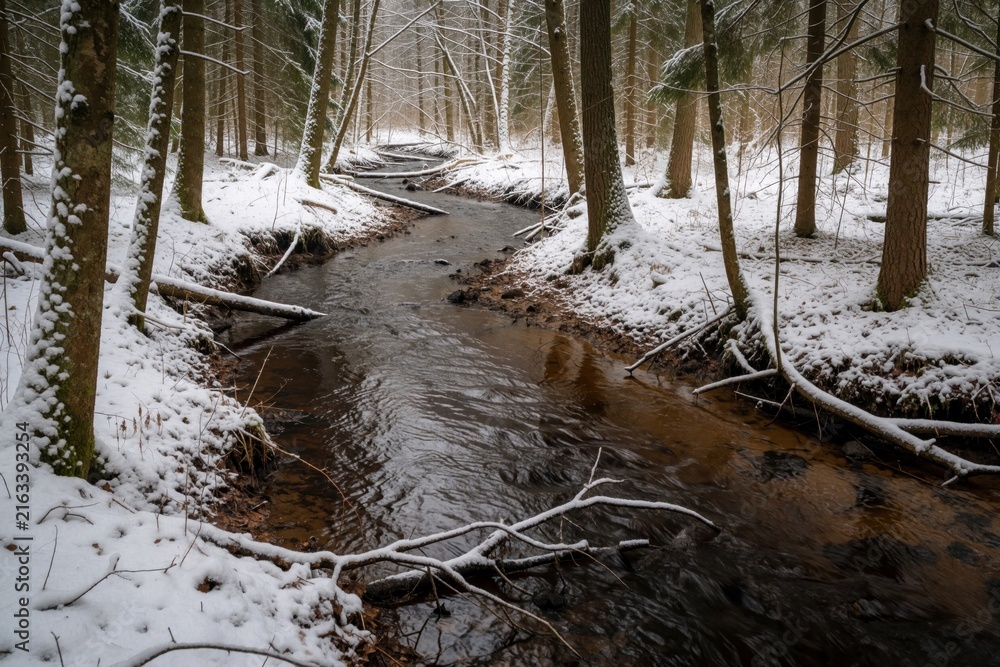 Naklejka premium Small wavy creek flows through snowy winter forest. Cold water stream runs between white snow covered ground, trees. Peaceful woodland landscape in Estonia shows icy nature scene with frozen wood,
