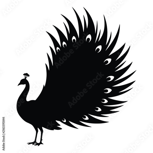 A striking peacock with fully displayed tail feathers is rendered as a silhouette