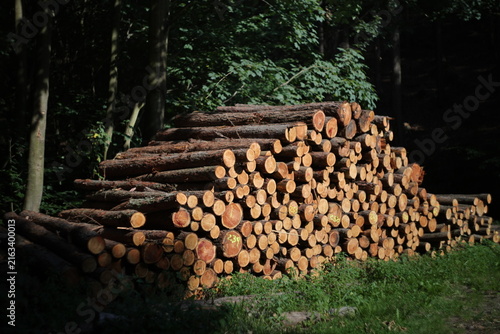 Obraz na płótnie stack of logs