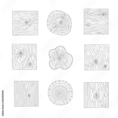 Wood Texture Collection. Set of twelve hand drawn wood grain textures and tree rings in outline style. Natural wooden plank, log cross section, bark texture, and timber vector collection.