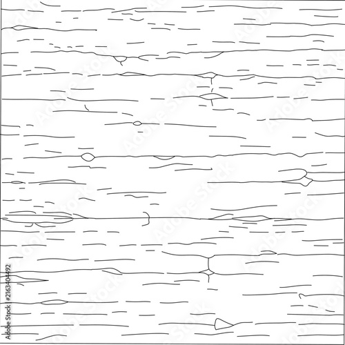 Wood Grain Texture. Hand drawn wood grain texture in clean outline style. Natural timber, wooden plank, and rustic wood surface vector illustration for backgrounds, engraving, woodworking