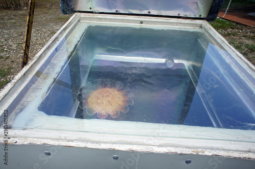 Solar cooking tools in Costa Rica