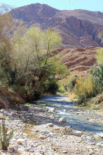 green oasis at desert village Ait Benhaddou in the Ourika-valley