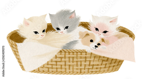 Three Kittens Curled Up in a Wicker Basket