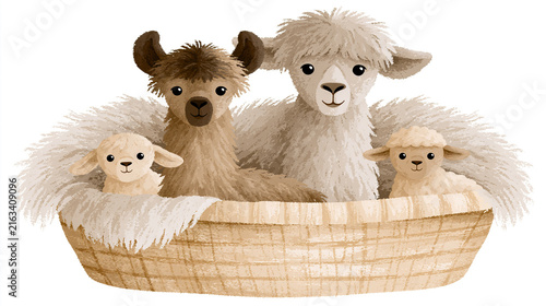 Three fluffy lambs snuggled in a woven basket