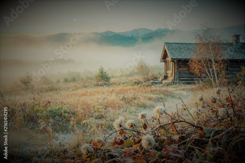 Forest cabin mountain