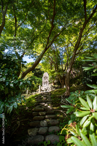 Fototapeta 鎌倉26818 建長寺1 半僧坊