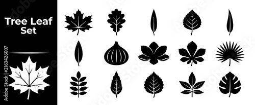 Black silhouette icons of different tree leaves arranged in a grid for nature vector design.
