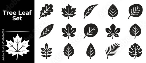 Set of black solid tree leaf silhouettes on transparent background for botanical vector design.
