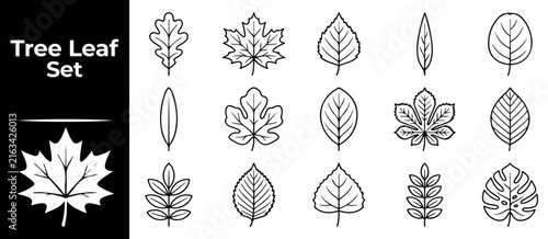 Set of thin black line tree leaf icons for nature branding and sustainable environment projects.