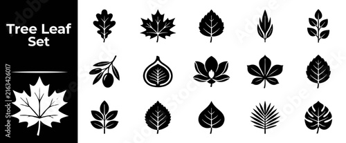 A set of black tree leaf icons representing various foliage species in a flat design graphic style.