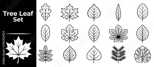 Collection of tree leaf outline icons in black line style for botanical educational materials.