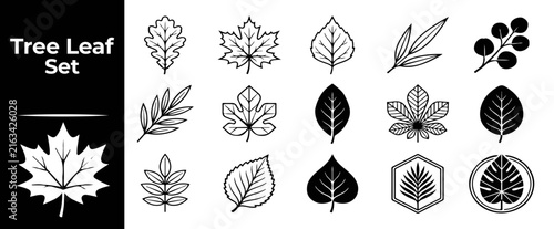 Graphic set of diverse tree leaves in linear and solid styles for botanical project designs.