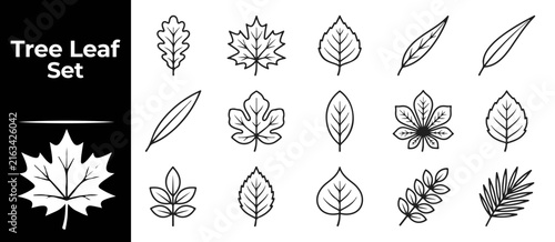 Set of minimalist linear tree leaf icons isolated on transparent background for nature design.