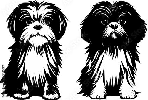 two shaggy small dogs standing side by side in detailed black and white illustration