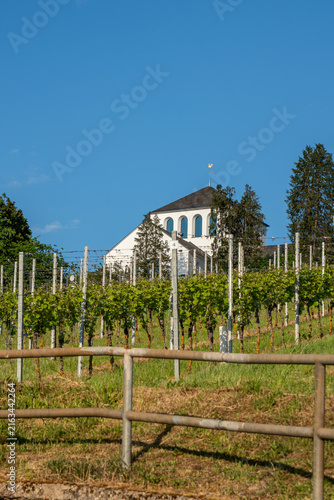 house on the vineyards above trier germany