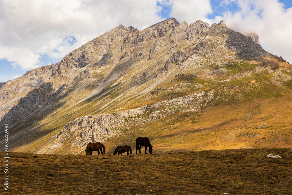 Naklejka premium Beautiful cantabrian horse grazing beneath imposing Picos de Europa mountains in Cantabria, Spain