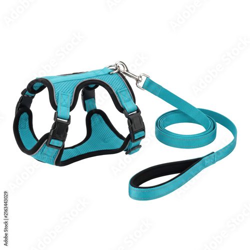 Фотография Comfortable turquoise dog harness and leash set for walks