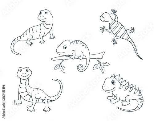 Reptiles Set. Five different Reptiles isolated on White background. Coloring Page. Lizard, Monitor Lizard, Gecko, Chameleon, Iguana. Vector illustration in Green