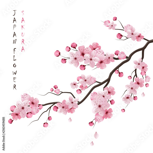 Delicate pink cherry blossom branch with falling petals and Japanese calligraphy