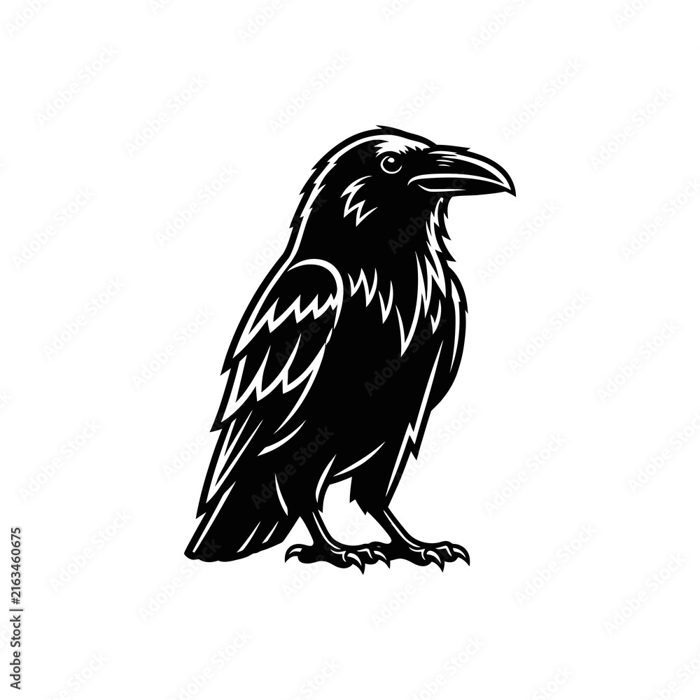 Fototapeta premium Strong black raven mascot vector illustration of a wild crow bird standing isolated on a clean white background for sports logo design