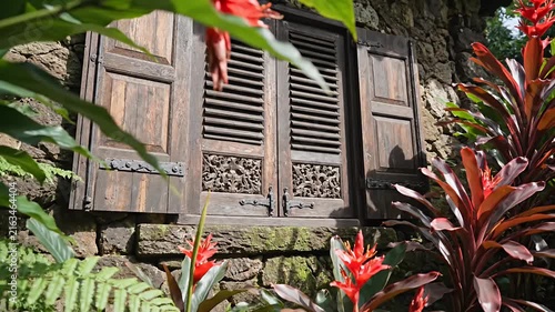 Rustic wooden shutters nestled in lush tropical garden.