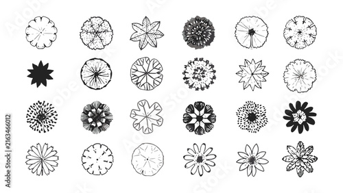 Top-Down Tree Symbols: A collection of stylized, hand-drawn tree top-down view icons and symbols, suitable for architectural plans and landscape design.