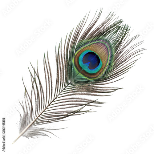 Bild auf Leinwand Single peacock feather with iridescent eye isolated on transparent background