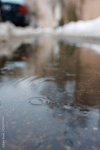 Fotografie Raindrop creates ripples in a winter puddle