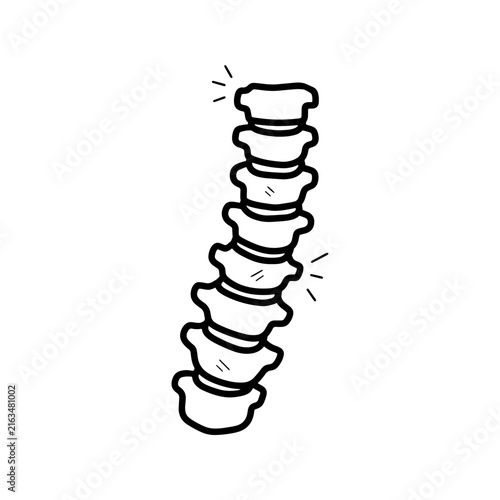 Hand drawn illustration of a human spine with curved vertebrae, representing anatomy, healthcare, skeletal structure and back pain concepts.