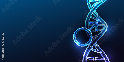 DNA Double Helix Male Gender Symbol XY Chromosome Genetics Glowing Blue Polygonal Vector