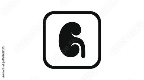 Minimalist black kidney vector illustration inside a rounded square frame
