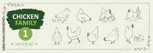 Chicken Family Vector Set Hand Drawn Hens Chicks Eggs and Farm Birds