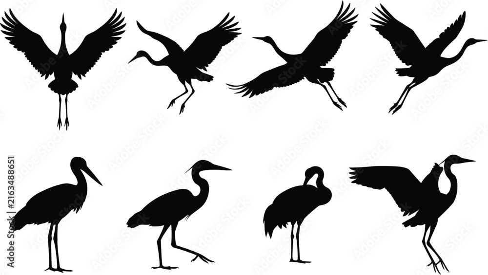 Naklejka premium Crane bird silhouette set isolated on white background vector illustration