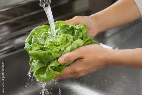 Hands washing fresh lettuce under running water in a kitchen sink