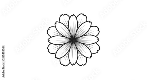 Black and white line art flower illustration, simple elegant daisy blossom outline, nature botanical graphic design element