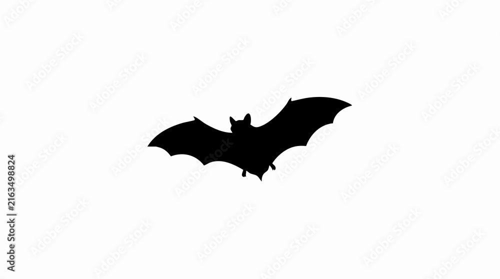 Fototapeta premium Silhouette of a bat in flight.