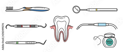 Dental Hygiene Tools and Tooth Illustration