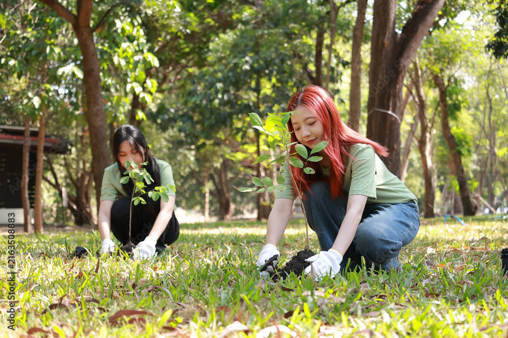 Fototapeta premium Group of Asian youth volunteering to plant saplings into the soil. Reforestation project, global warming reduction, and environment conservation activities.