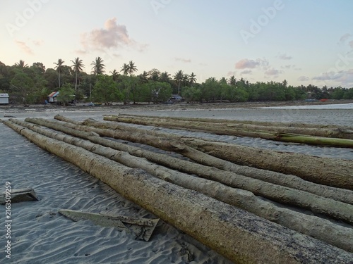 Cuadro en lienzo Large mangrove logs are carried by the current and wash up near coastal settleme