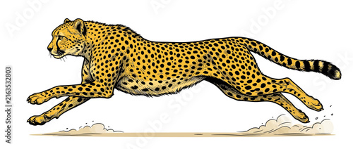 Photography Wild cat running fast, dynamic illustration, spotted fur