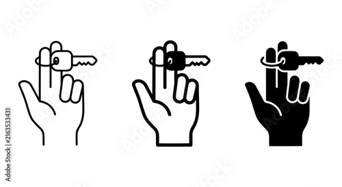 Hand Holding Key, Security Icon, Access Symbol, Vector Illustration Set