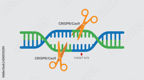 Foto Genome Editing Scissors Cutting DNA Strand At Target Site