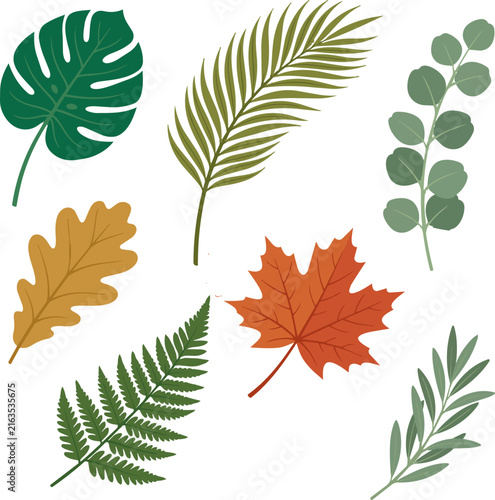Vibrant leaves in assorted shapes and colors. Green, orange, and brown hues stand out. Each leaf has unique patterns and textures. Nature's beauty is captured in this collection