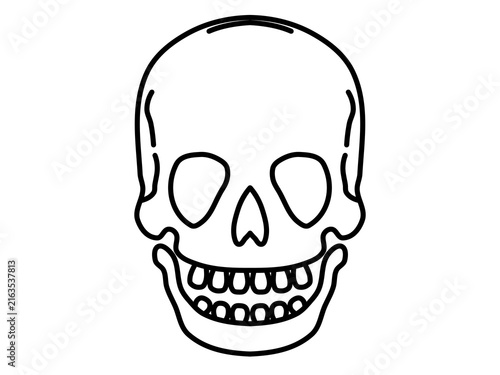 Quadro su tela Illustration of a skull