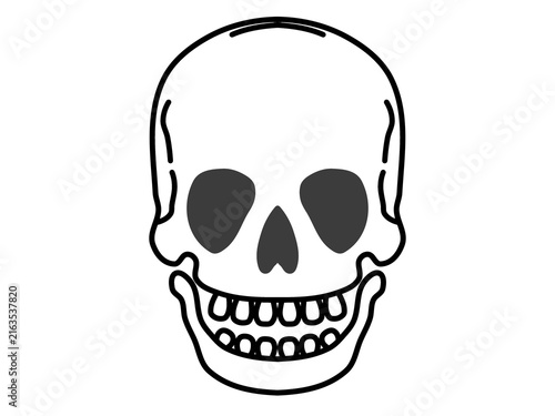 Cuadro en lienzo Illustration of a skull
