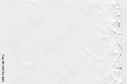 Subtle Crinkled Edge on Clean White Paper Texture Background